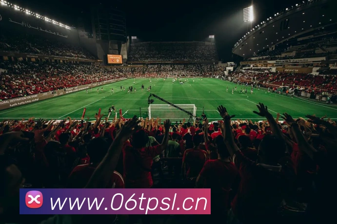 云开体app登录入口APP 封面图